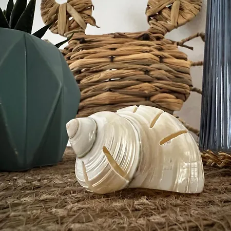 Arena Apartment *